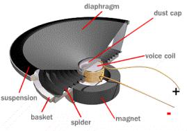 Neodymium Magnets in Speakers