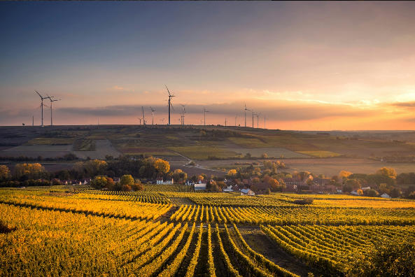 The_Europe's_Plans_For_Green_Tech_Are_Under_Great_Risk_Of_Failure_Due_To_Chinese_Export_Control_Over_REE.jpg The_Europe's_Plans_For_Green_Tech_Are_Under_Great_Risk_Of_Failure_Due_To_Chinese_Export_Control_Over_REE.jpg